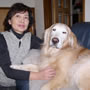 犬の病気･犬の健康「パンフェノン」守谷ラブちゃん　ゴールデンレトリバー　８歳
